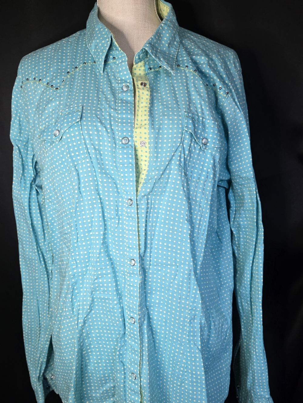 Twenty X Teal Polka Dot XXL Snap Top